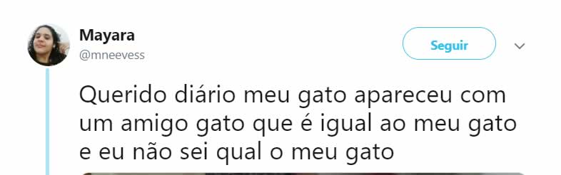 O incrível caso do gato que se multiplicar