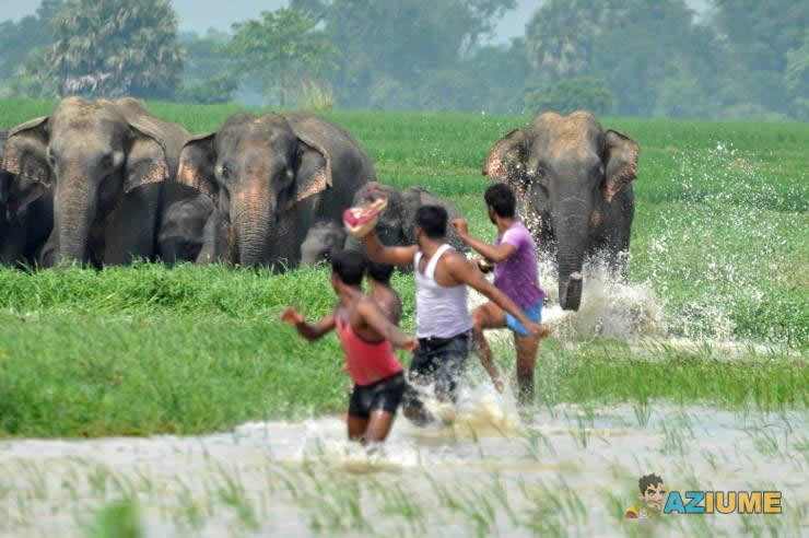 Quando você descobre que sua ideia foi uma merda Quando você descobre que sua ideia foi uma merda