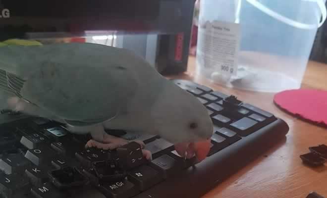 Ele ficou sozinho por 5 minutos