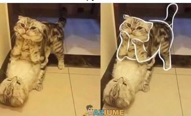 Está interessante, por favor me conte mais