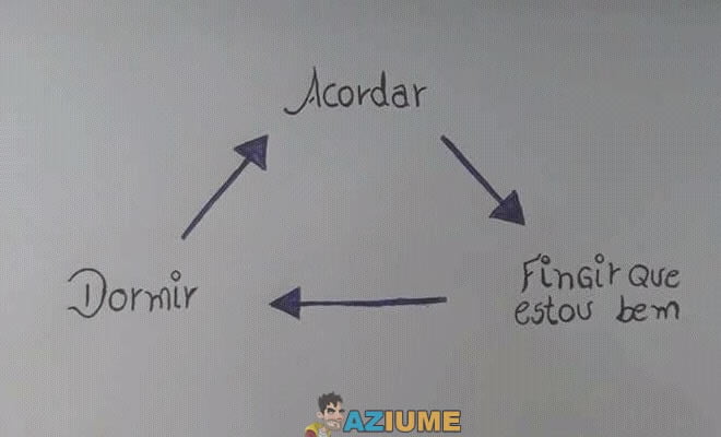 Meu ciclo de vida em uma imagem