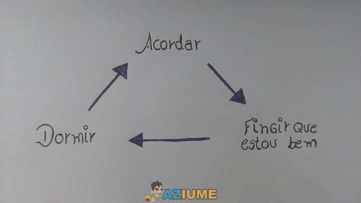 Meu ciclo de vida em uma imagem