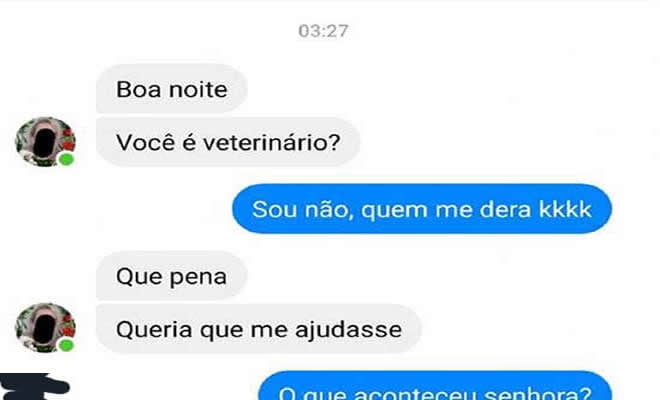 Procura-se veterinário para cuida de uma gata Procura-se veterinário para cuida de uma gata