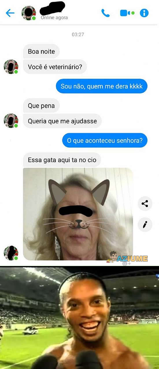 Procura-se veterinário para cuida de uma gata