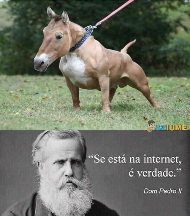 Se está na internet é verdade versão 2019
