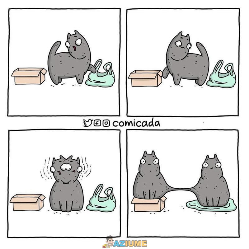 Quando o gato precisa fazer uma escolha