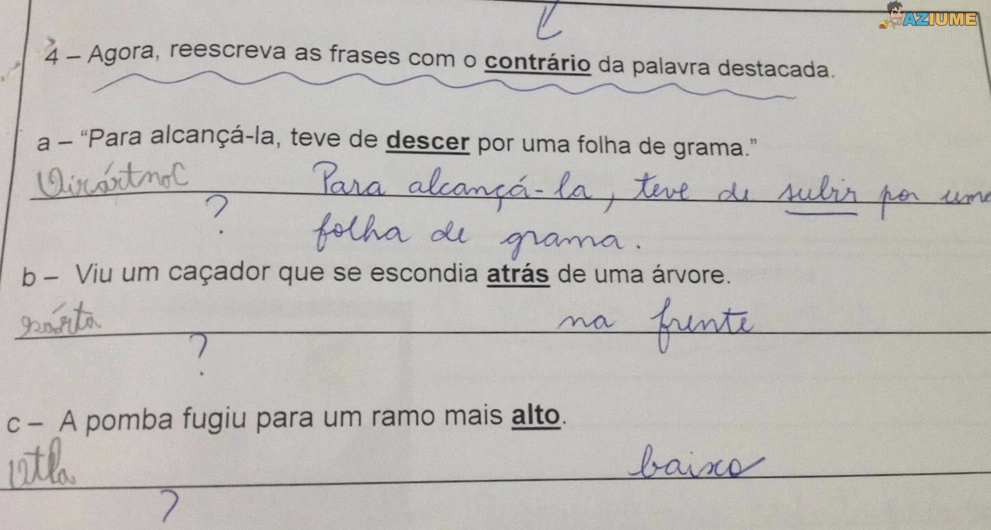 Ninguém faz lição da escola tão bem como a Julia