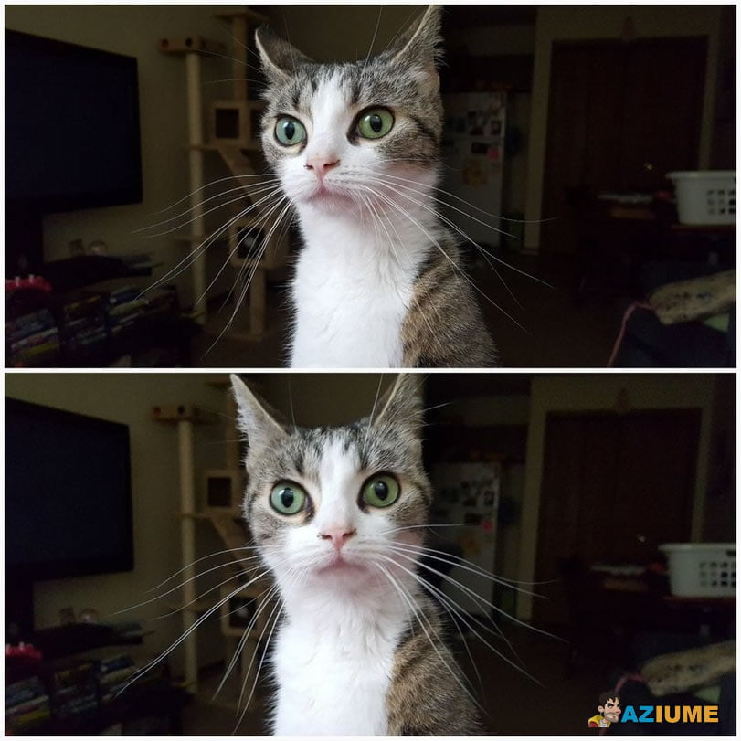 Quando você esquece o que precisava fazer