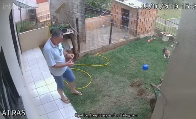 Como acabar com um um formigueiro no quintal Como acabar com um um formigueiro no quintal