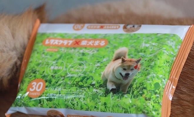 O produto final não se parece com a imagem O produto final não se parece com a imagem