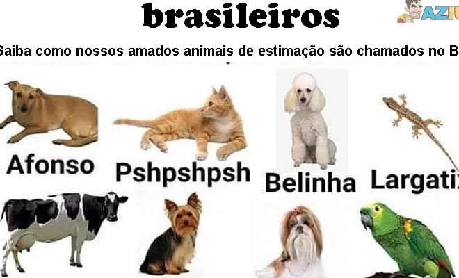 Guia de cultura nacional Guia de cultura nacional