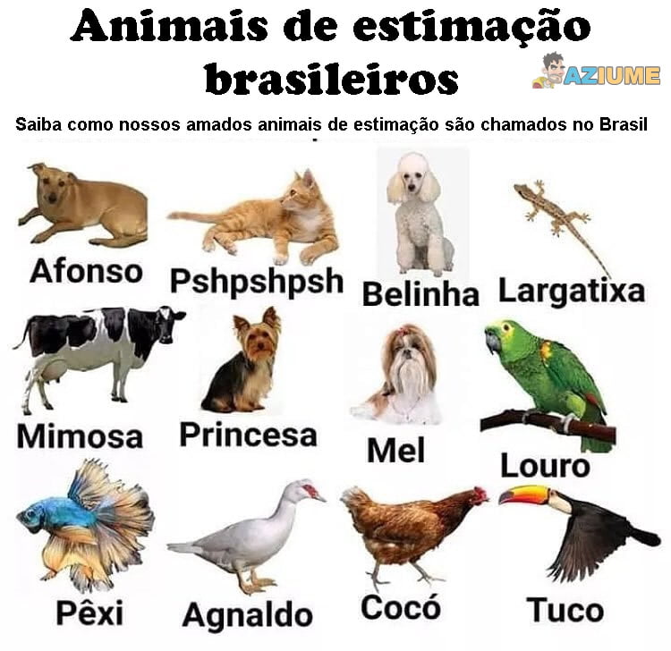 Guia de cultura nacional