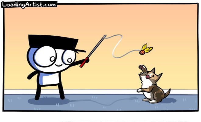 A morte do meu gatinho A morte do meu gatinho