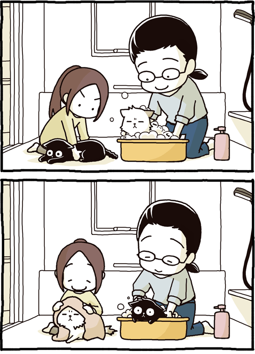 Tanto banho no gato