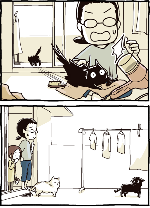 Dando banho no gato