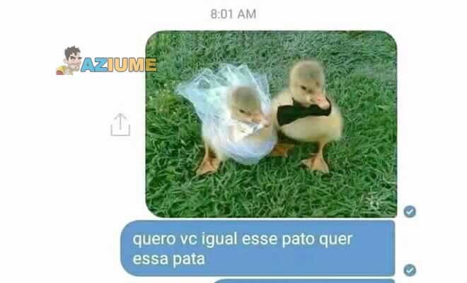 Cantada do pato Cantada do pato