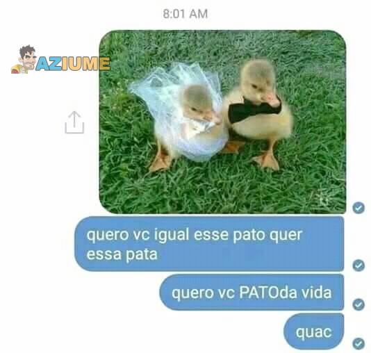 Cantada do pato