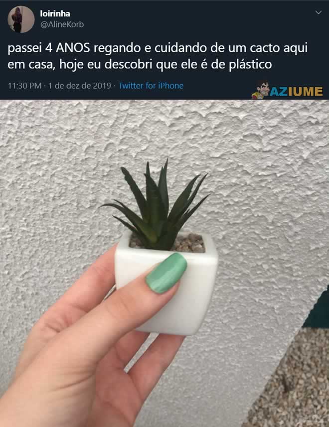Seria a história desta plantinha uma metáfora para certos relacionamentos? 