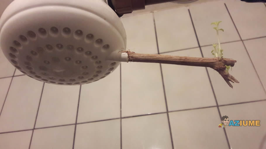 Este é o verdadeiro chuveiro ecológico?