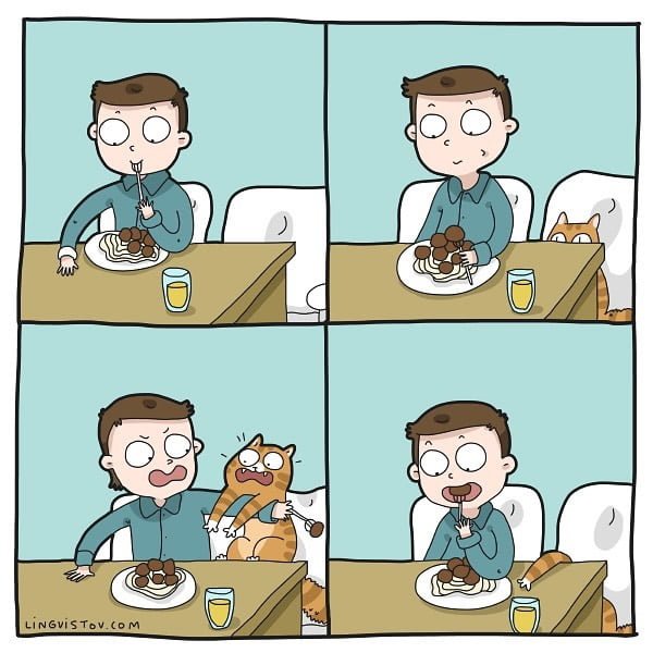 Para quem tem gato em casa vai entender