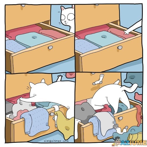 Para quem tem gato em casa vai entender