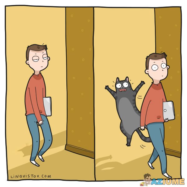 Para quem tem gato em casa vai entender