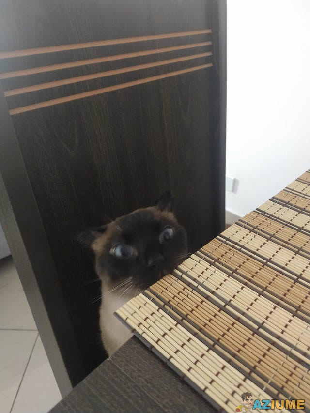 Toda vez que jantamos Sushi