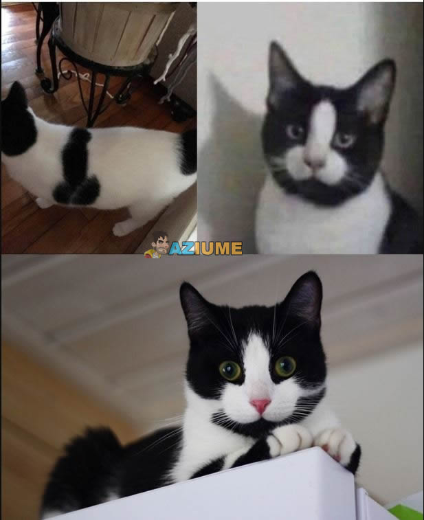 Quando você nasceu pra ser zuado