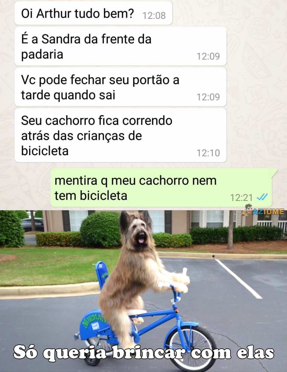 Quando você descobre que seu cachorro de bicicleta