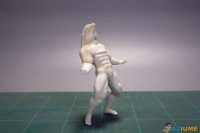 Golfinho com abdômen trincado