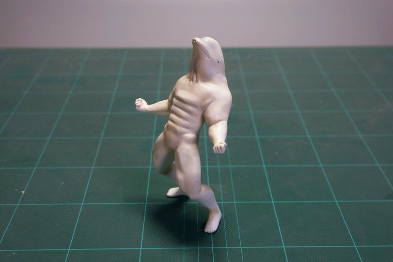 Golfinho com abdômen trincado