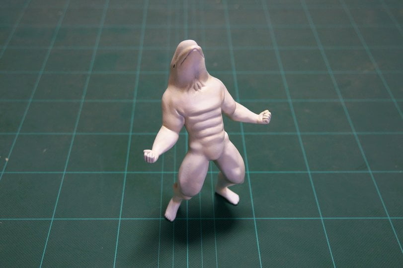 Golfinho com abdômen trincado