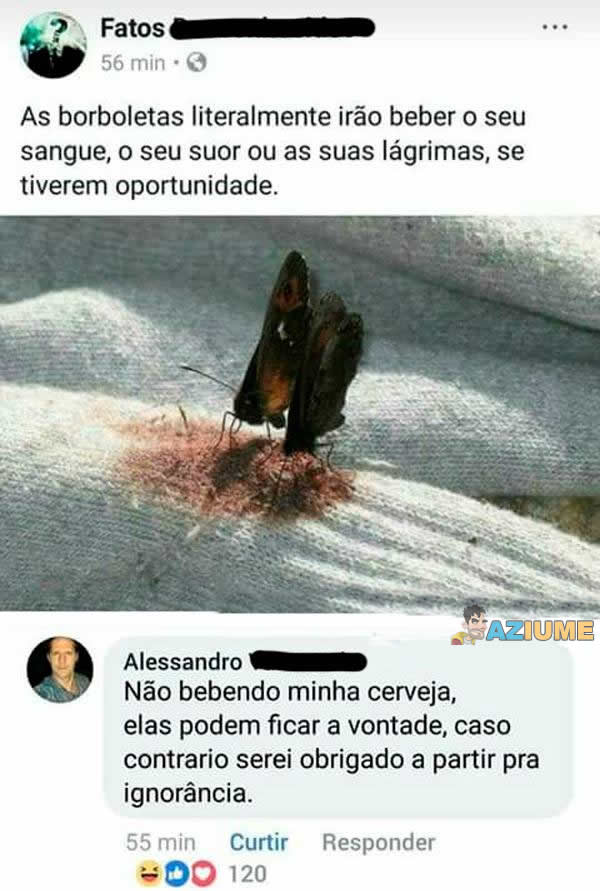 A verdade sobre as borboletas