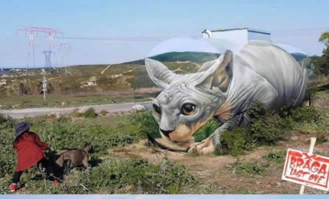 Isso sim que é arte Isso sim que é arte