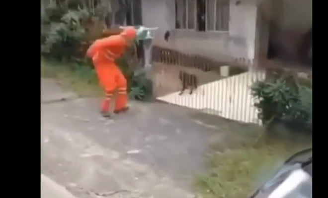 Roda, roda, roda Roda, roda, roda