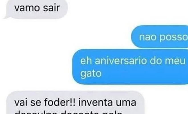 Aniversário do gato Aniversário do gato