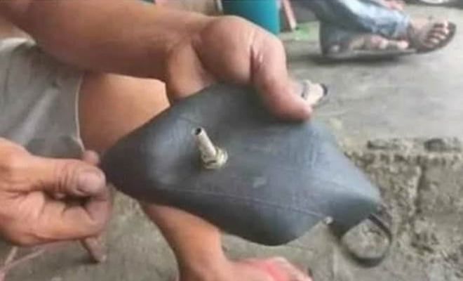 O melhor do Brasil é o Brasileiro