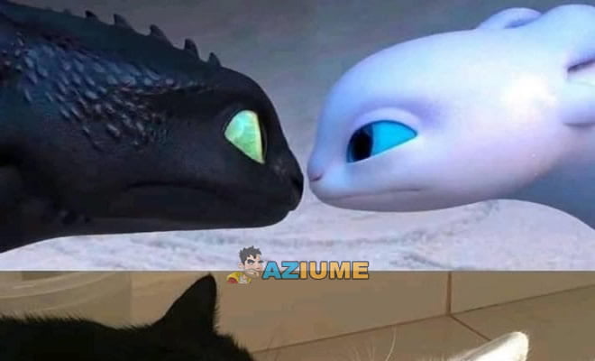 Como treinar seu dragão na vida real