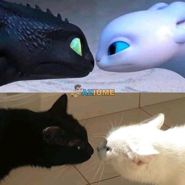 Como treinar seu dragão na vida real