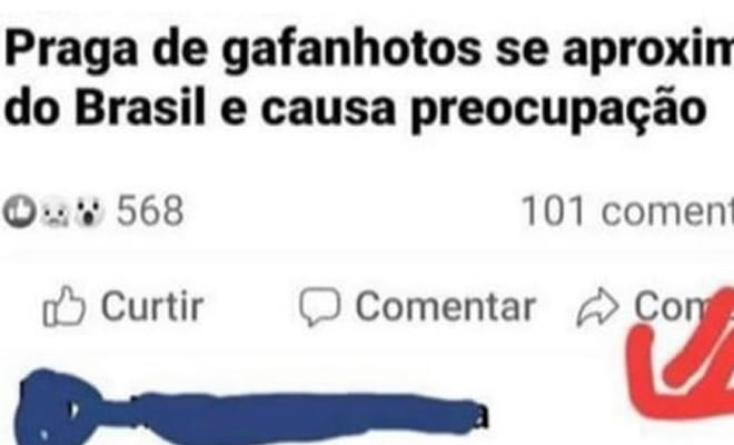 Bem vindos a fase 6 de 2020 Bem vindos a fase 6 de 2020