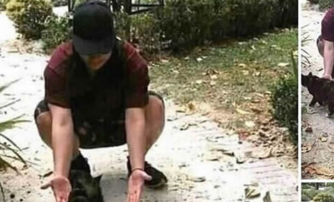 Até meu gato me ignora