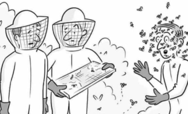 Eu tenho meus direitos!