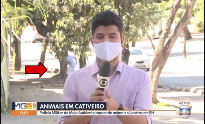 Preste atenção no fundo da reportagem Preste atenção no fundo da reportagem