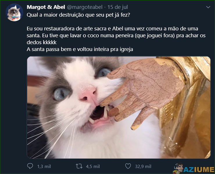 Qual foi o maior estrago que o seu pet já fez?