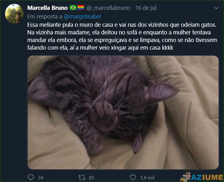 Qual foi o maior estrago que o seu pet já fez?