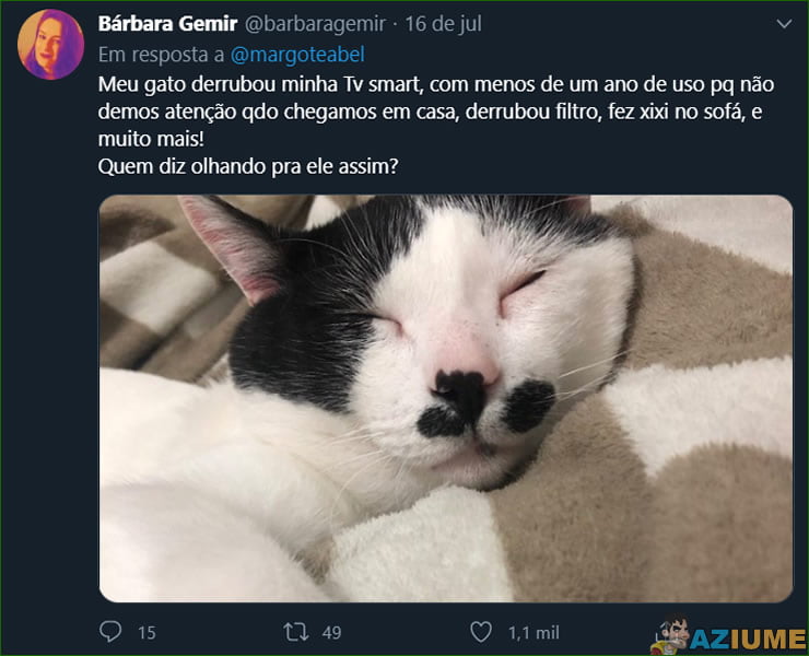 Qual foi o maior estrago que o seu pet já fez?