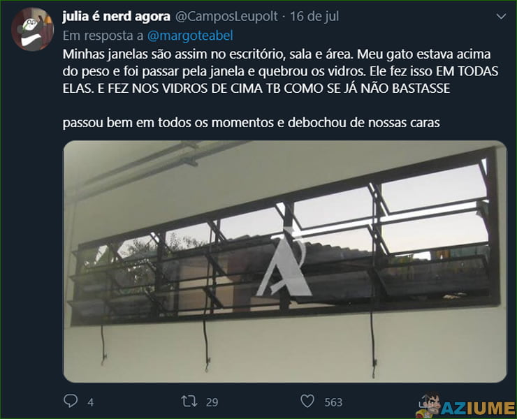 Qual foi o maior estrago que o seu pet já fez?