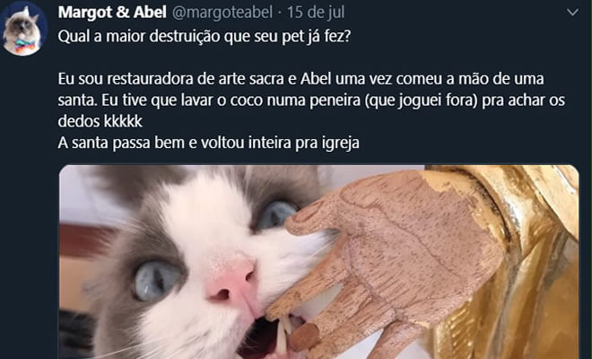 Qual foi o maior estrago que o seu pet já fez?