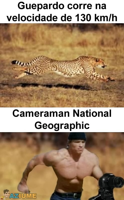 Guepardo corre na velocidade de 130 km/h Guepardo corre na velocidade de 130 km/h