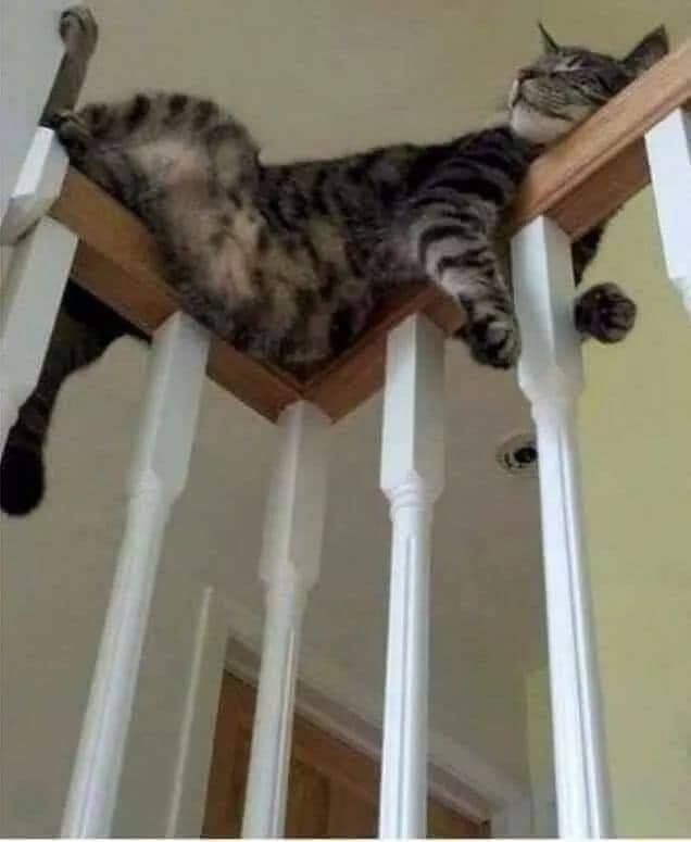 A regra é clara! Se dá pra dormir é cama!